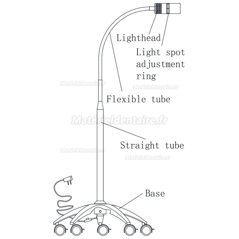 Lampe d'examen dentaire Micare JD1100L, lampe d'examen médical LED 7 W (modèle à pied)